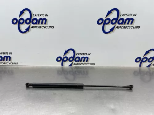 Gasdemper Motorkap links-8317289