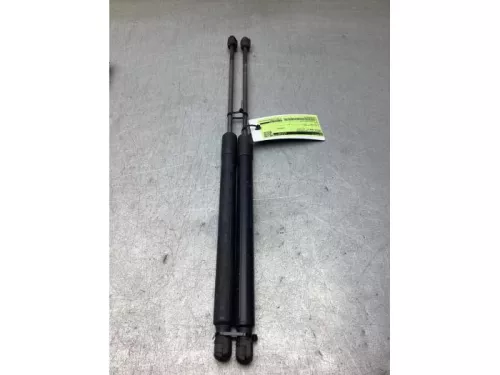 Gasdemperset Kofferdeksel-8295328