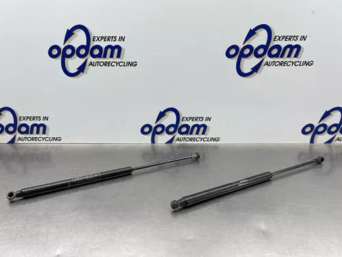 Set Gasdempers Achterklep-8296152