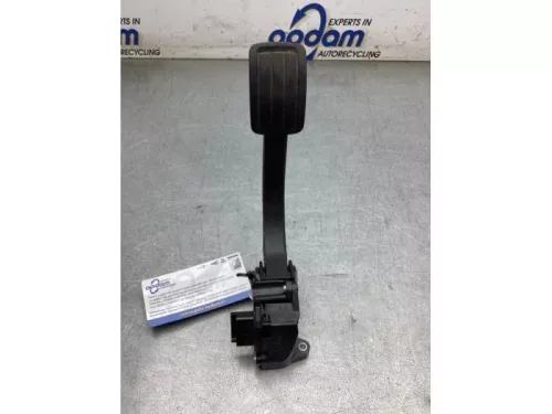 Gaspedaalpositie Sensor-8242967