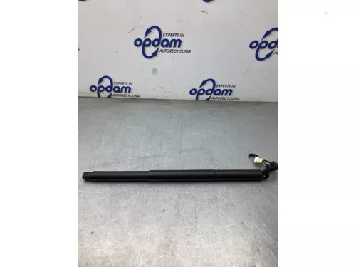 Gasdemper links-achter-