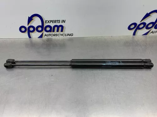 Set Gasdempers Achterklep-8244371