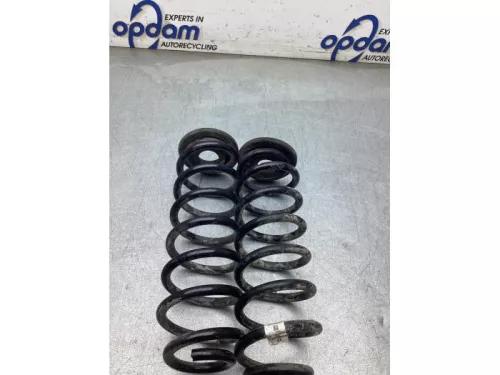 Schroefveer achter-8337816