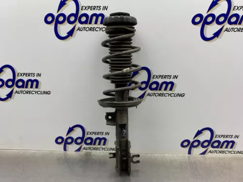 Schokdemperpoot rechts-voor-8347940