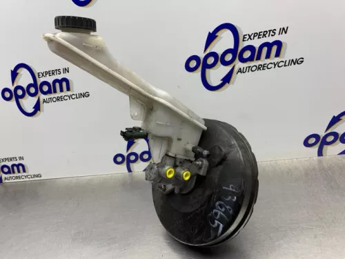 Rembekrachtiger-8347940