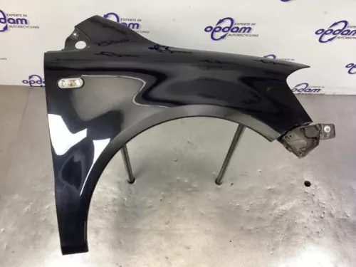 Scherm rechts-voor-8352651