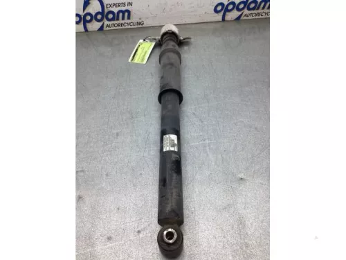 Schokdemperpoot rechts-achter-8219172