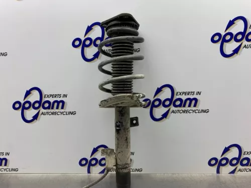 Schokdemperpoot links-voor-8347872