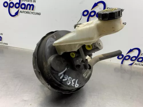 Rembekrachtiger-8347872