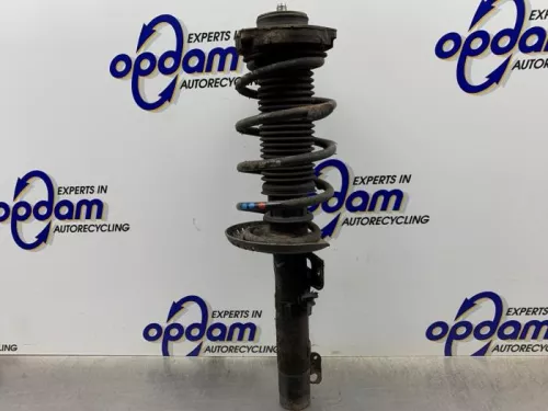 Schokdemperpoot rechts-voor-8352651