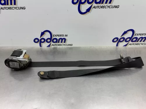 Veiligheidsgordel links-voor-8347438