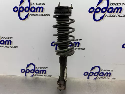 Schokdemperpoot links-voor-8353549