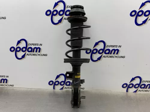 Schokdemperpoot links-voor-8259267