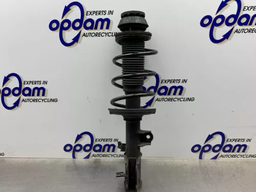 Schokdemperpoot rechts-voor-8259267