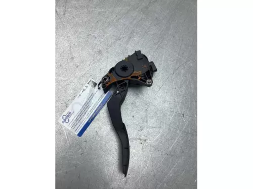 Gaspedaalpositie Sensor-8106532