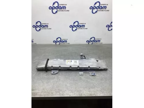 Accu (Hybride)-7986734