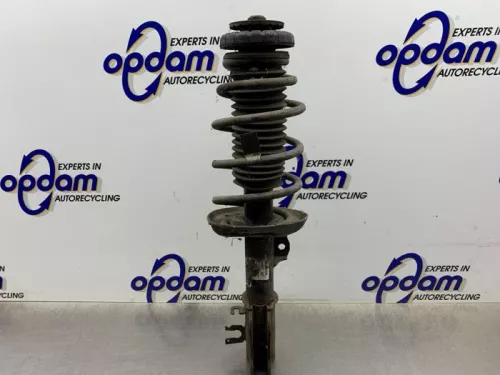 Schokdemperpoot links-voor-8246837