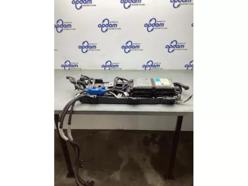 Accu (Hybride)-8202418