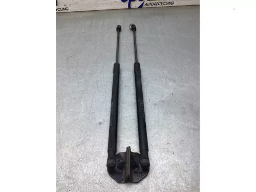 Set Gasdempers Achterklep-8206780