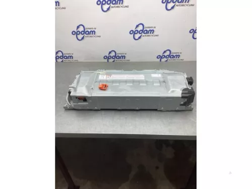 Accu (Hybride)-8175775