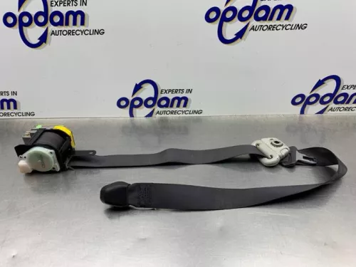 Veiligheidsgordel links-voor-8351507