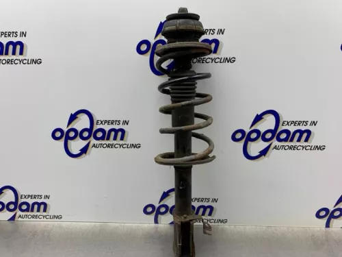 Schokdemperpoot links-voor-8244371