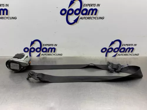 Veiligheidsgordel links-voor-8336351