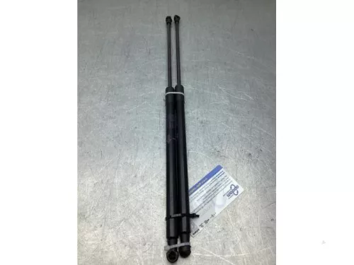 Set Gasdempers Achterklep-8276007