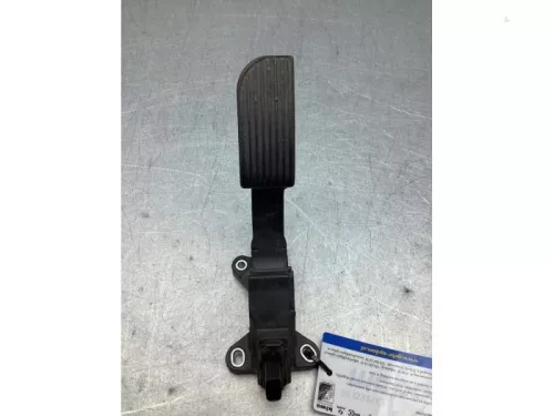 Gaspedaalpositie Sensor-8276007