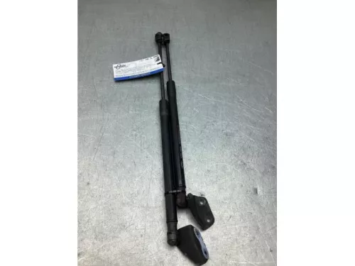 Set Gasdempers Achterklep-8275247