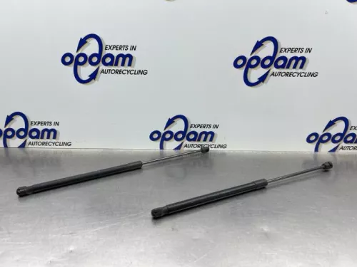 Set Gasdempers Achterklep-8301366