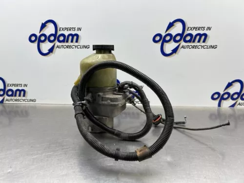 Stuurbekrachtiging Pomp-8341255