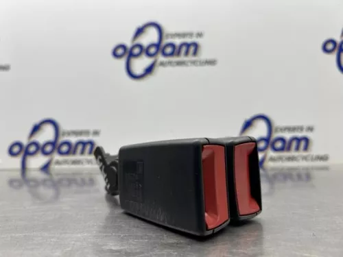 Veiligheidsgordel Insteek midden-achter-8294961