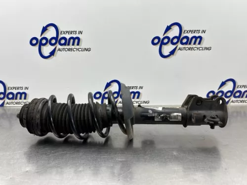 Schokdemperpoot links-voor-8203075