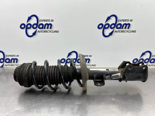 Schokdemperpoot rechts-voor-8203075