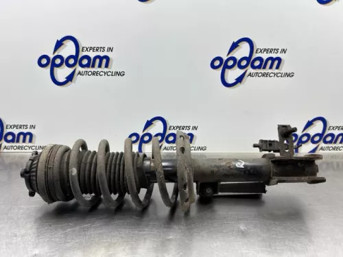 Schokdemperpoot rechts-voor-8294961