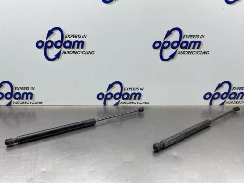 Set Gasdempers Achterklep-8335701