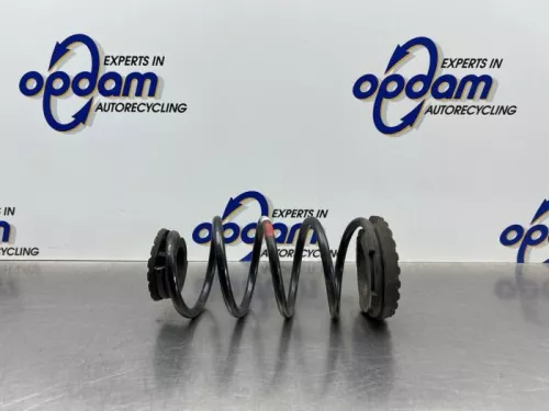 Schroefveer achter-8203075