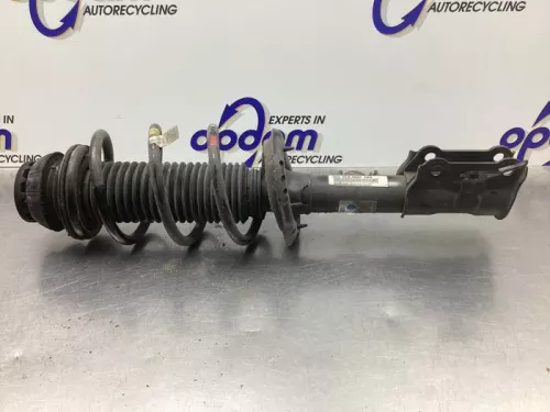 Schokdemperpoot rechts-voor-8341294