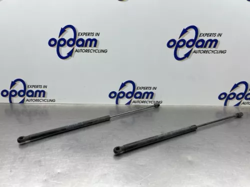 Set Gasdempers Achterklep-8328181