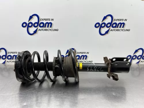 Schokdemperpoot links-voor-8346481