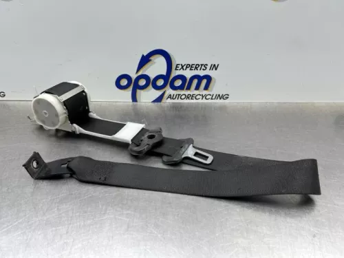 Veiligheidsgordel links-voor-8246570