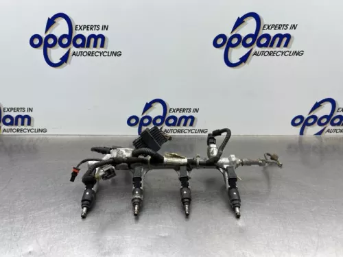 Injector (benzine injectie)-8246570