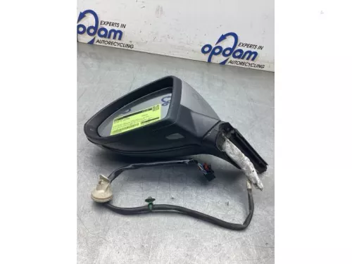 Buitenspiegel links-8339617