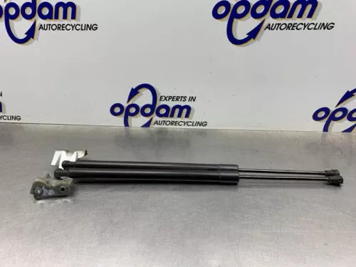 Set Gasdempers Achterklep-8299599