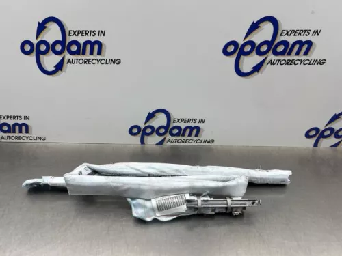 Airbag hemel links-8049452