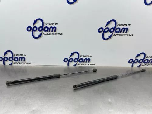 Set Gasdempers Achterklep-8049452