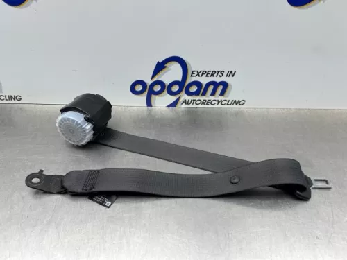 Veiligheidsgordel midden-achter-8246837