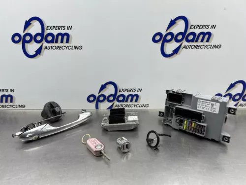 Computer Motormanagement-8296152