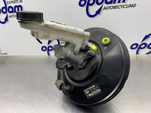 Rembekrachtiger-8264708